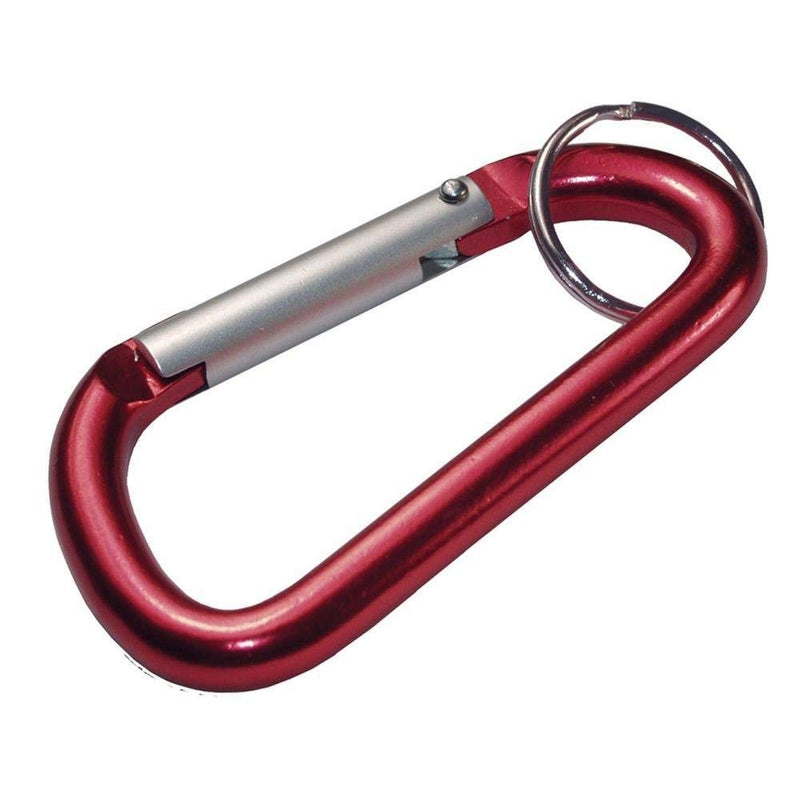 Large Carabiner Keychain W/ Ring
