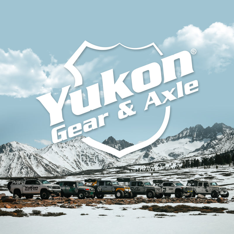 Yukon Gear 8.75in fits Chrysler Axle Bearing Adjuster & Seal Kit